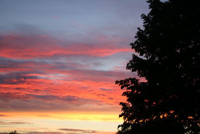 Low angle view of silhouette trees against dramatic sky during sunset