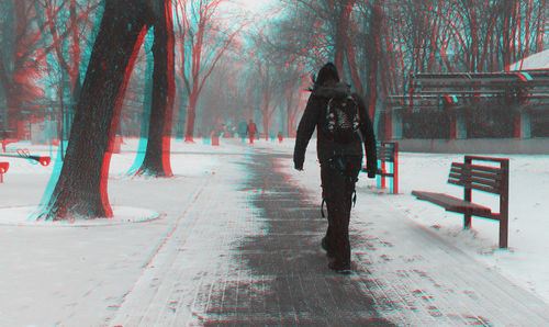 Rear view of person walking on snow covered footpath