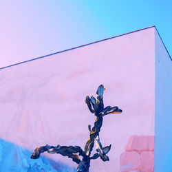 Cherry tree against blue sky