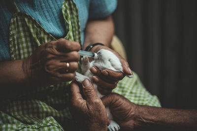 Midsection of veterinarian injecting rabbit being held by man