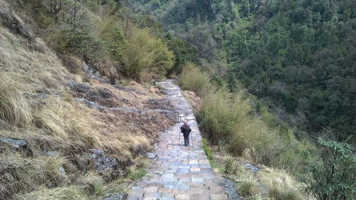 Rear view of woman walking on walkway