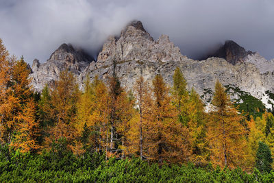 Scenic view of autumn trees against sky