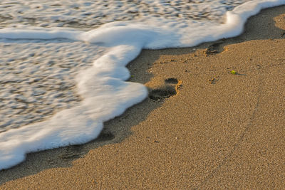 High angle view of beach