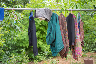 Clothes drying on clothesline