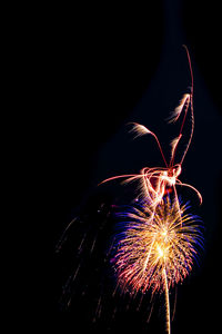 Firework display at night