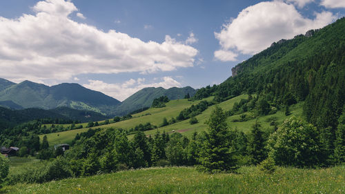 Scenic view of green landscape against sky