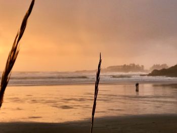 Silhouette wooden post on beach against sky during sunset