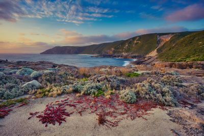 Scenic view of sea against sky during sunset