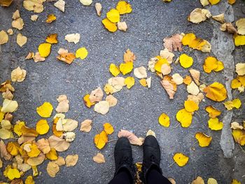Low section of man standing on street