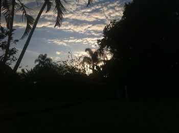 Silhouette trees against sky during sunset