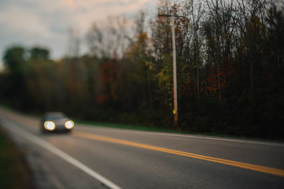 Cars on road by trees