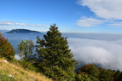 Scenic view of landscape against sky