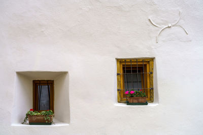 Potted plants on window of white house