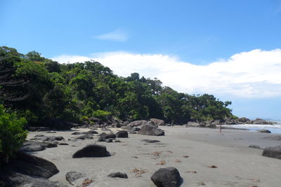 Rocks on beach against sky