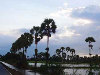 Silhouette palm trees by lake against sky