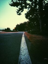 Country road along trees