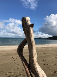 Driftwood on wooden post on beach against sky