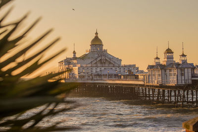 Eastbourne pier at sunrise with a palm tree branch in the foreground
