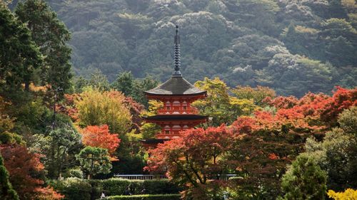 View of temple against trees and mountain