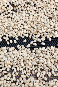 Full frame shot of raw coffee beans