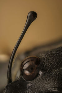Macro shot of metal chain