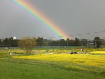 Scenic view of rainbow over field