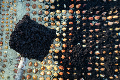 Full frame shot of abstract pattern