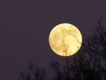 Low angle view of moon against sky at night