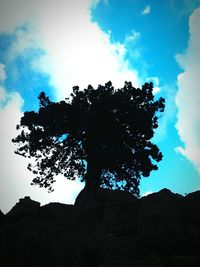 tree