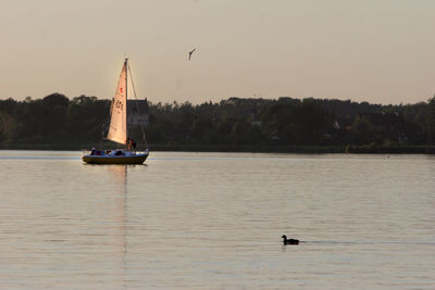 Sailboat sailing in a lake