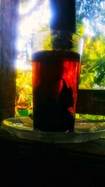 Close-up of beer in glass on table