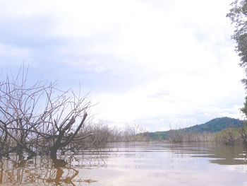 Scenic view of lake against sky during winter