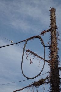 Low angle view of basketball hoop against sky