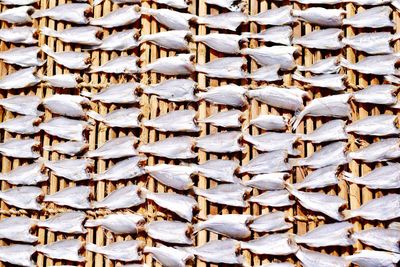 Full frame shot of clothes drying