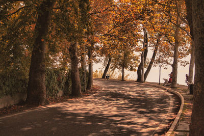 Empty road along trees during autumn