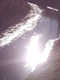 Reflection of trees in water