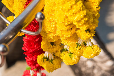 Close-up of yellow flowers