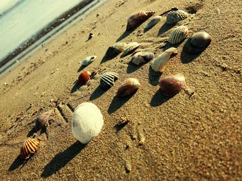 High angle view of sand on beach