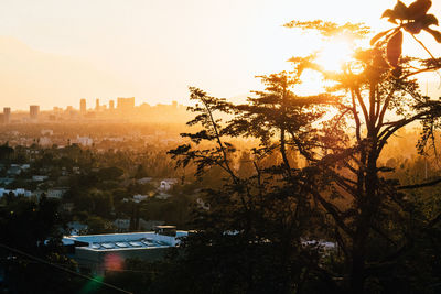 Silhouette trees and cityscape against sky during sunset