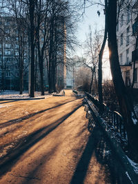 Road amidst bare trees during winter