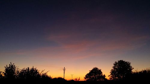 Silhouette of trees at sunset