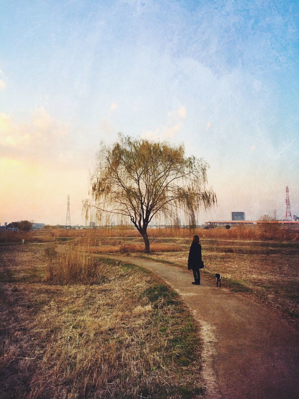 tree, field, sky, landscape, grass, tranquility, bare tree, rear view, full length, tranquil scene, silhouette, men, lifestyles, walking, leisure activity, nature, solitude, beauty in nature