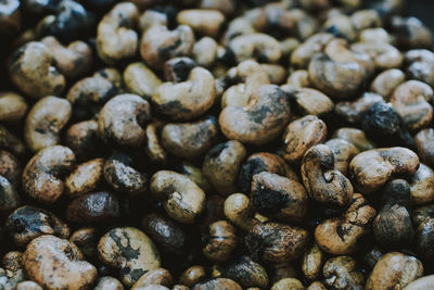 Full frame shot of coffee beans