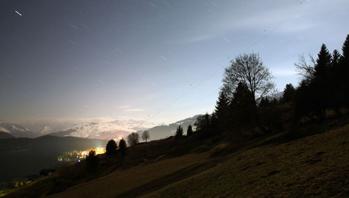 Silhouette trees on field against sky at night