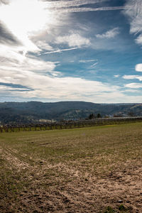 Scenic view of field against sky