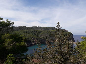 Scenic view of rocks and trees against sky