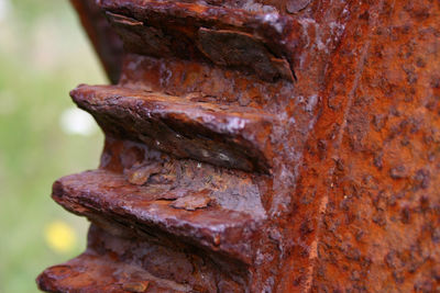 Close-up of rusty metal