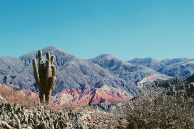 Scenic view of mountains against clear blue sky