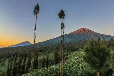 Scenic view of landscape against sky during sunset