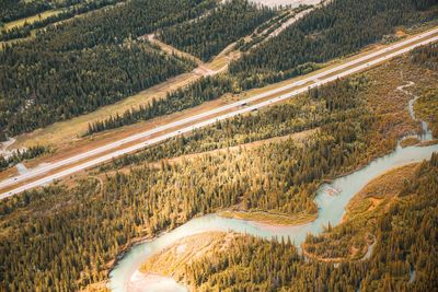 Aerial view of river and trees